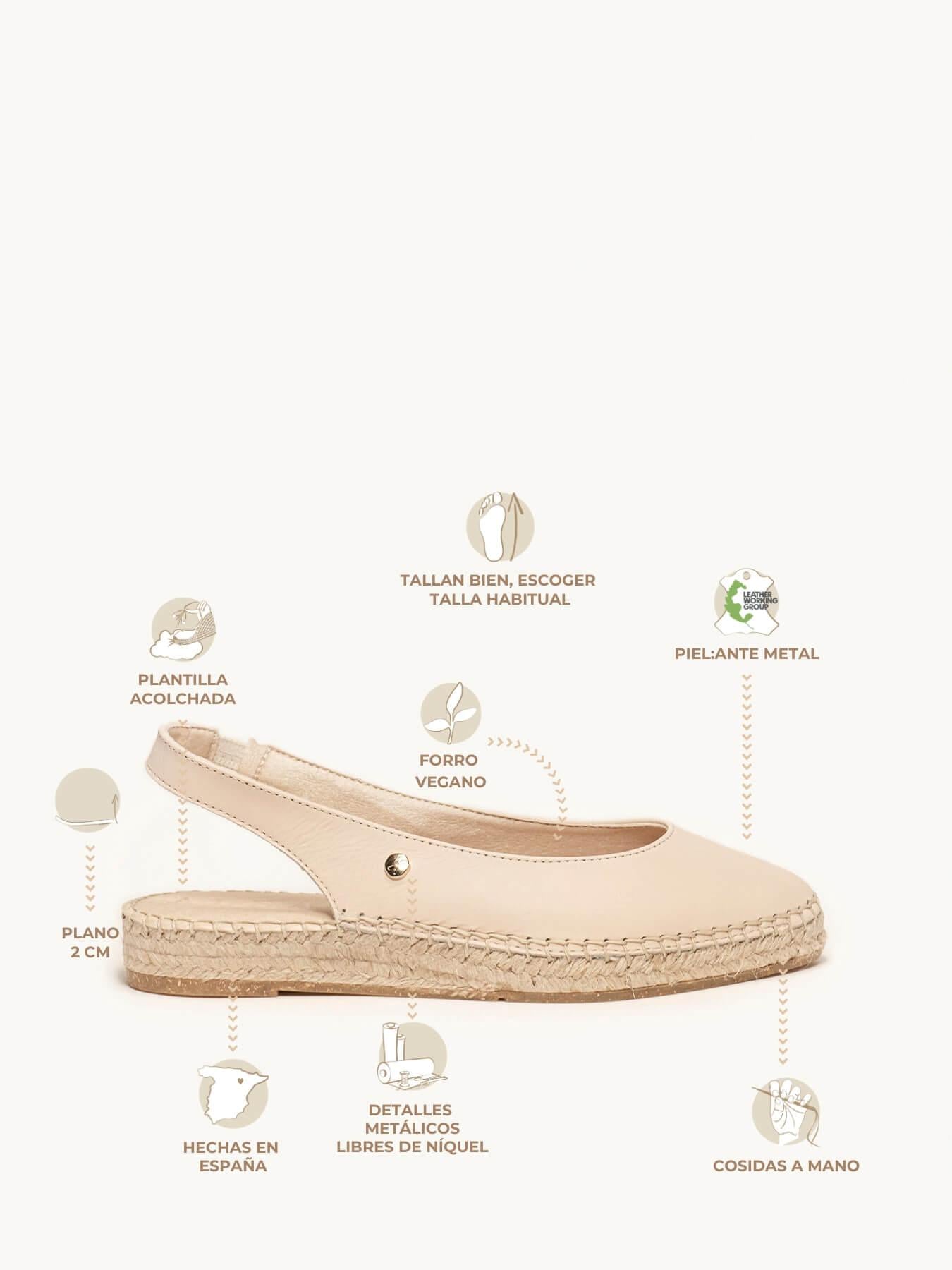 Camelia Cuña Napa Arena