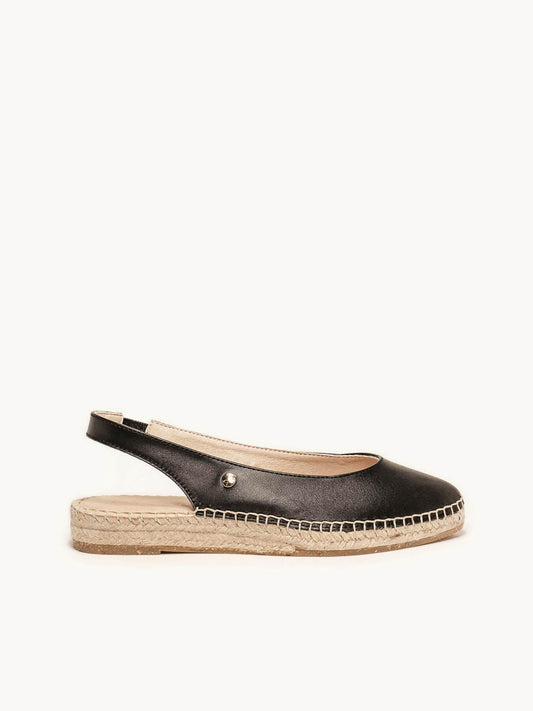 Camelia Cuña Napa Negro